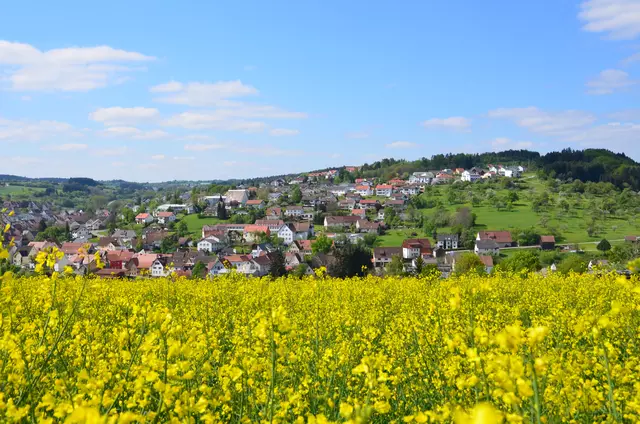 Ortsportrait Haiterbach